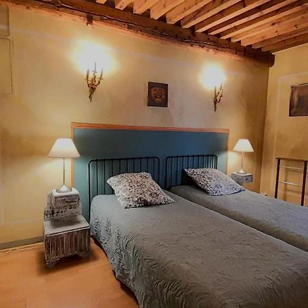Vieux-Lyon - Maison Renaissance Dış mekan fotoğraf